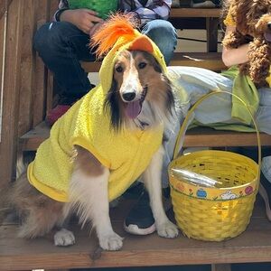 Dog chicken costume